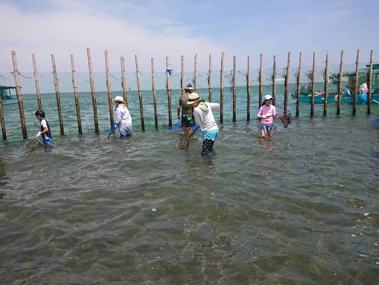 すだてで奮闘中！